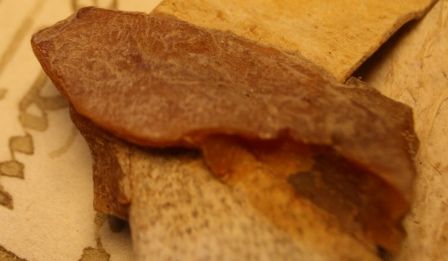 Sceau n°2 (illisible)