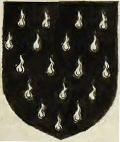 Exemple d'écusson semé de larmes.