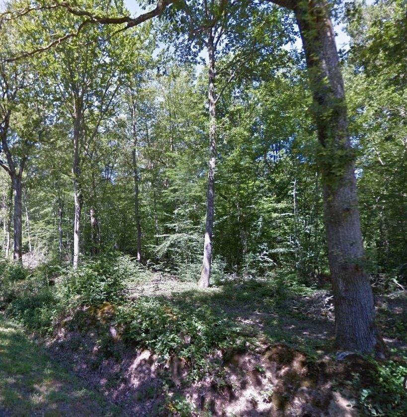 Le bois de La Brosse (Google maps).