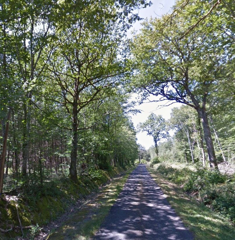 Le bois de La Brosse (Google maps).