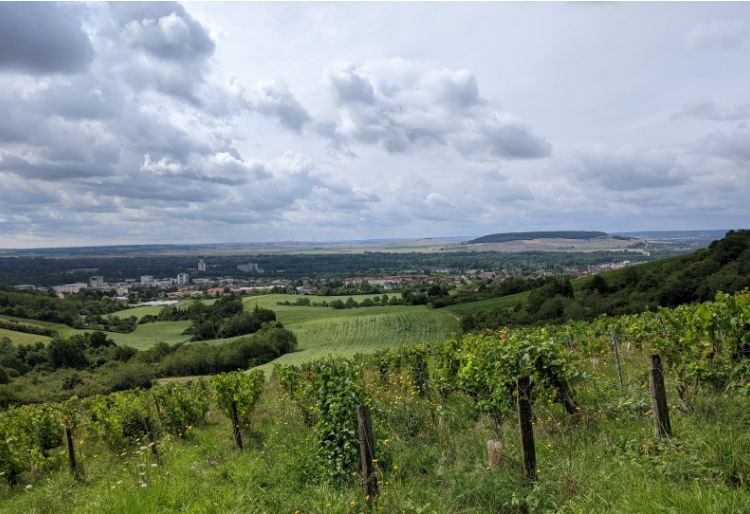 Environs de Brion-sur-Yonne.